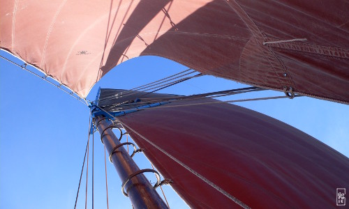 Bergère de Domrémy’s sails - Voiles de la Bergère de Domrémy