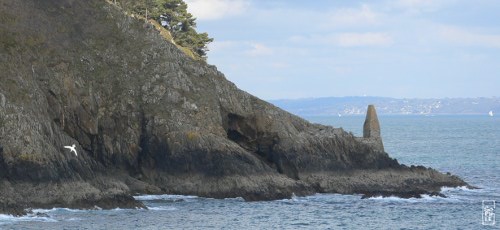 Gannet diving - Fou de Bassan plongeant