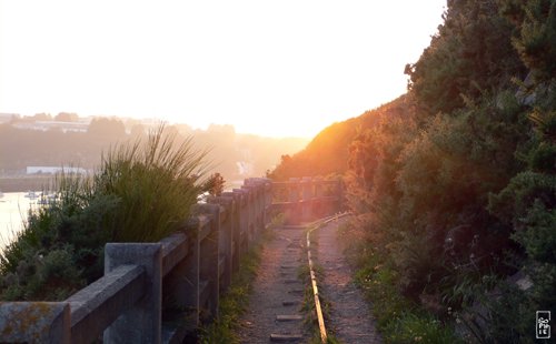 Coastal trail - Sentier côtier