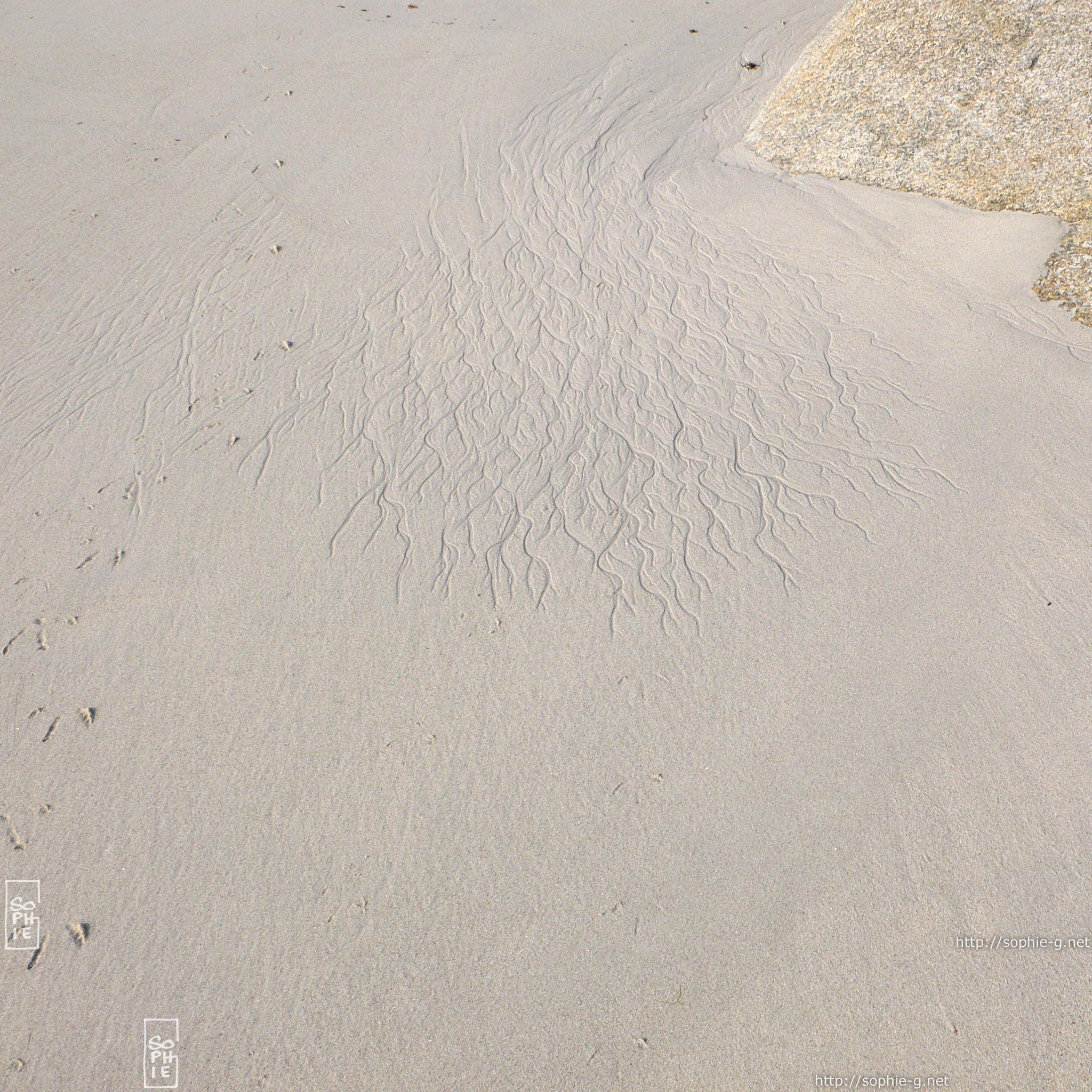 Traces in the sand 2048×2048 desktop wallpaper Traces sur le sable