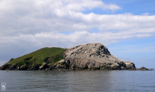 Riouzig island - Île Riouzig