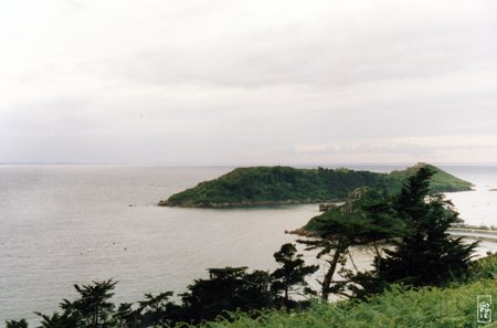 Milliau island - Île Milliau