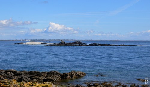 Morgol island - Île Morgol
