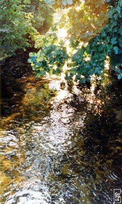Stream - Ruisseau 2
