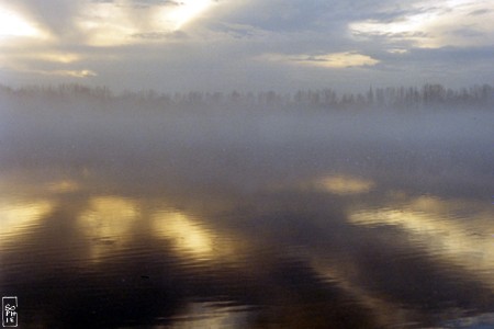 Mist - Brouillard