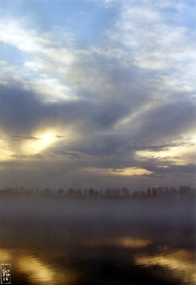 Mist - Brouillard