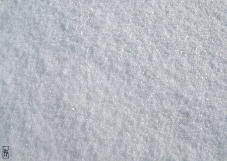 Snow - Neige