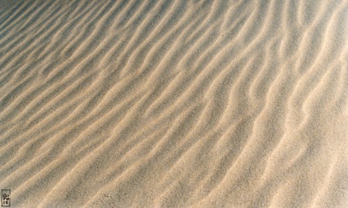 Sand ripples - Ridules de sable