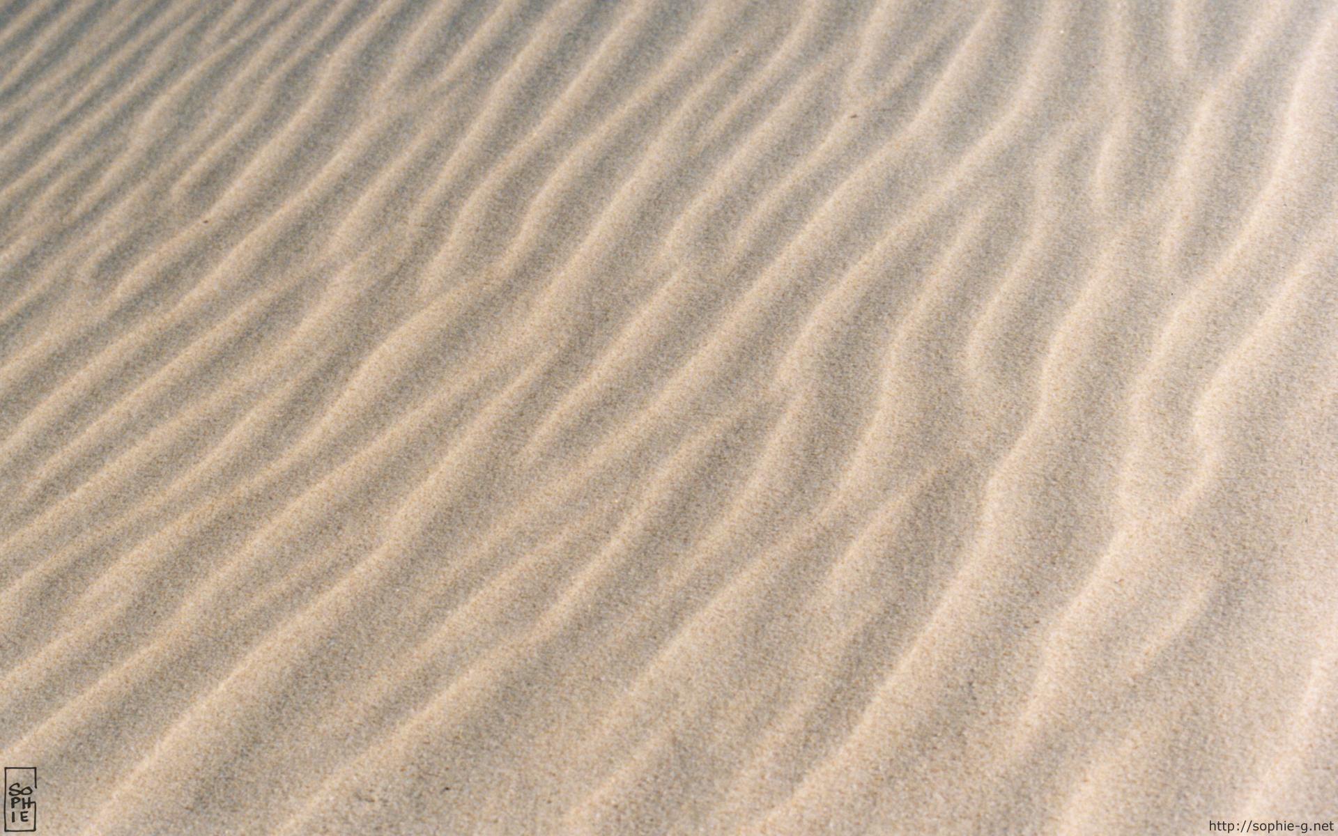 ... - ridules de sable â