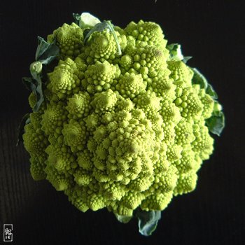 Romanesco cauliflower - Chou Romanesco