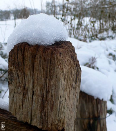 Snow on a fence post - Neige sur un poteau de clôture