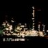Donges refinery