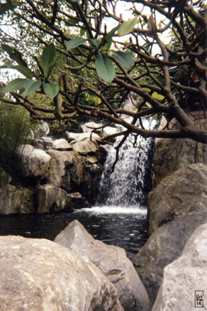 Waterfall - Cascade
