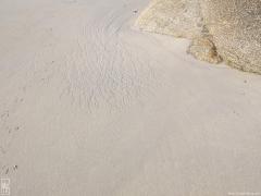 Traces sur le sable—1024×768 Traces sur le sable—1024×768