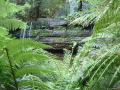 Cascade Russell falls—1024×768 Cascade Russell falls—1024×768