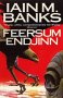 Feersum Endjinn book cover