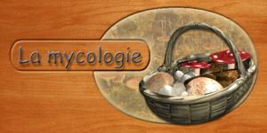 Mycology - Mycologie