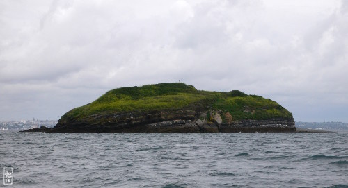 Ronde island - Île Ronde