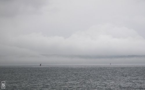 Misty shore - Côte brumeuse