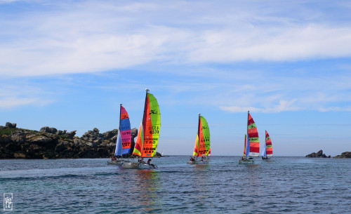 Colourful catamaran sails - Voile colorées des catamarans