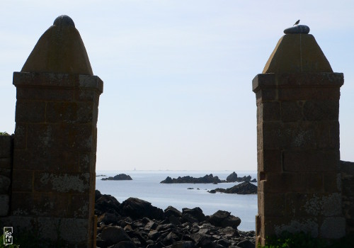 Portal and bird - Portail et oiseau