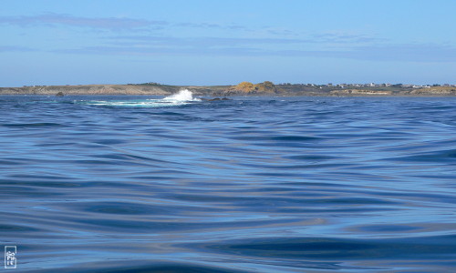 Waves racing in front of Ouessant (Ushant) island - Vagues défilant devant l’île d’Ouessant