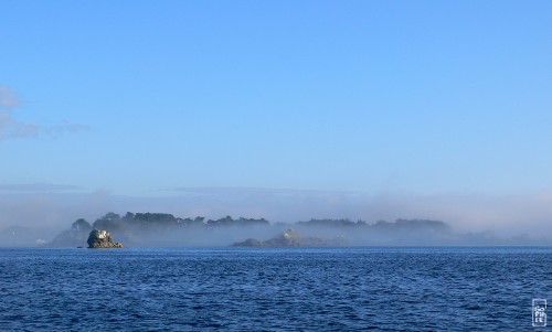 Fog patch on Roscoff - Banc de brume sur Roscoff