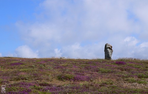 Megalith on the Lostmarc’h head - Menhir sur la pointe de Lostmarc’h