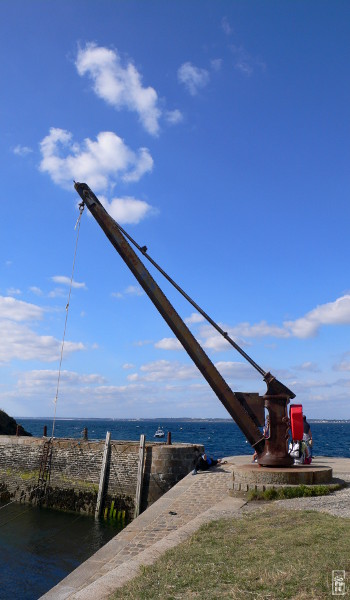 Rusty crane - Grue rouillée