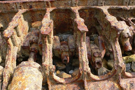 Beached object - Laisse de mer