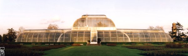 Palm House