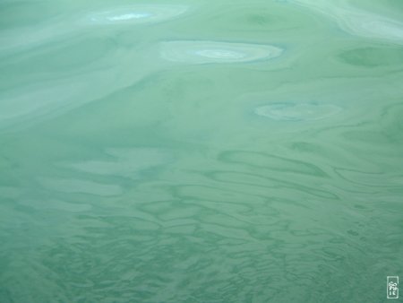 Green water - Eau verte