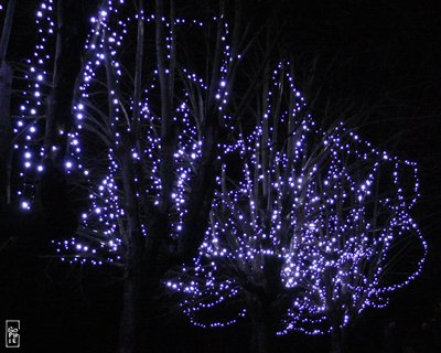Christmas lights - Lumières de Noël