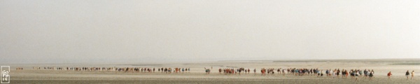 Walking in line on the sand - Marcheurs en file indienne sur le sable