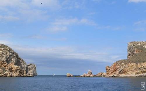 Medes islands - Îles Medes