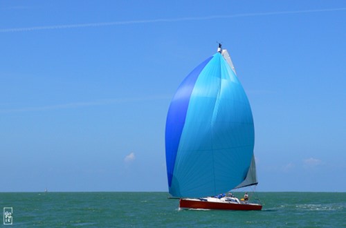 Sailboat with a blue spinnaker - Voilier au spi bleu