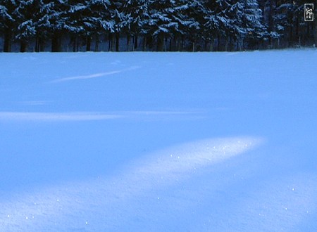 Glitter in the snow - Paillettes dans la neige