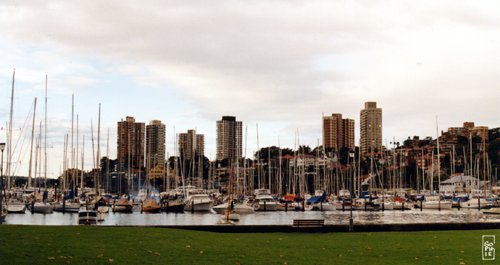 Rushcutters bay